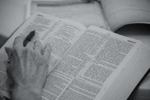 Studying the Bible